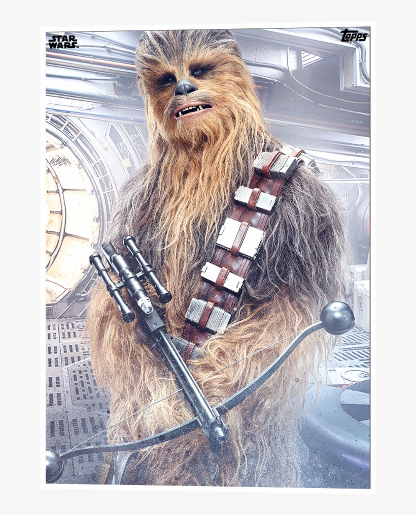 Detail Chewbacca Transparent Nomer 36