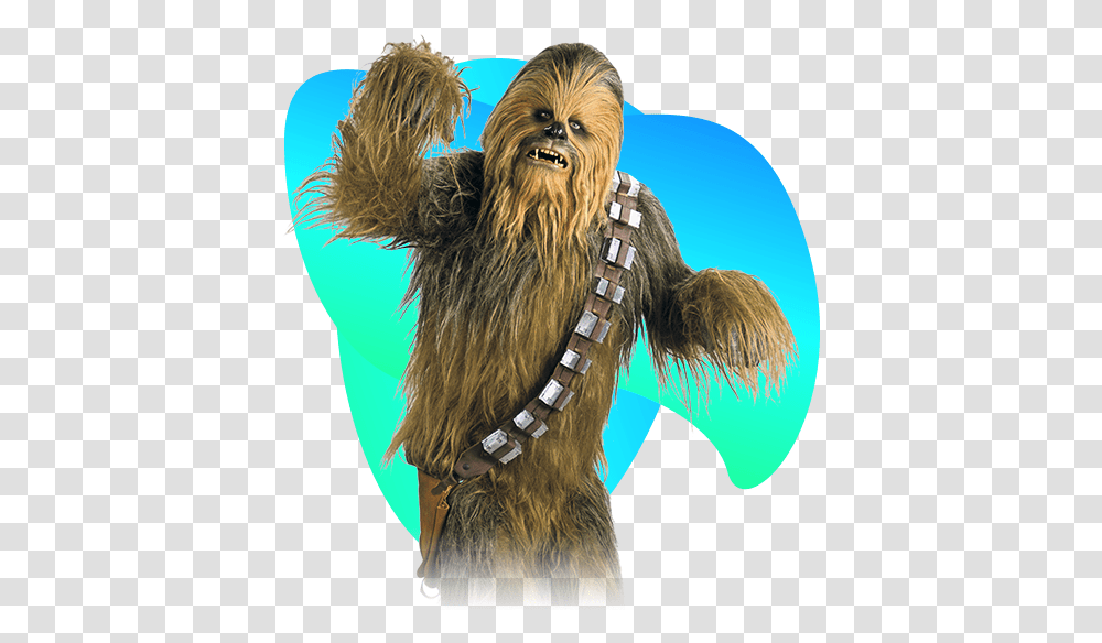 Detail Chewbacca Transparent Nomer 45