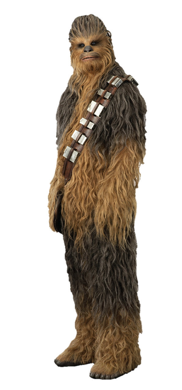 Detail Chewbacca Transparent Nomer 53