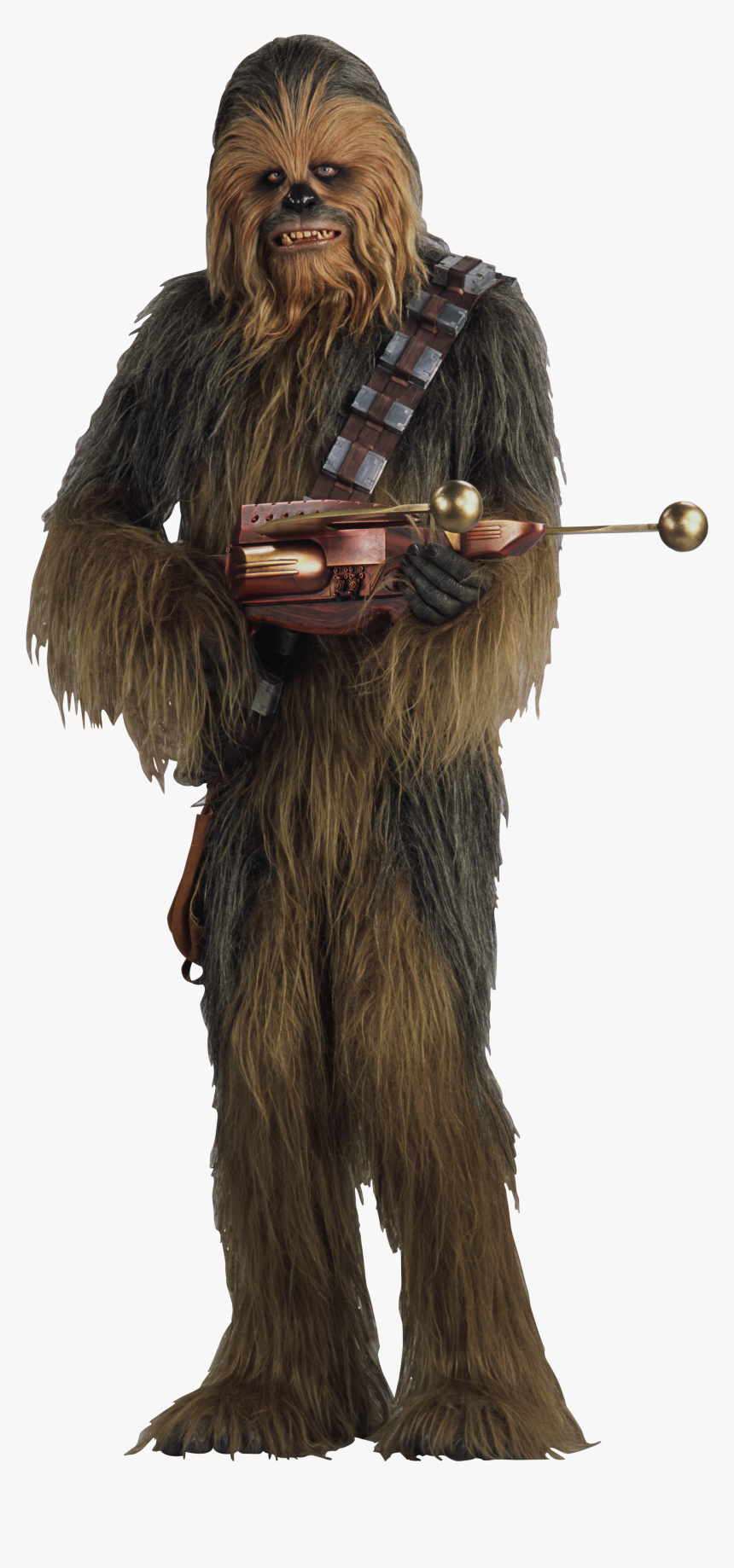 Detail Chewbacca Transparent Nomer 7
