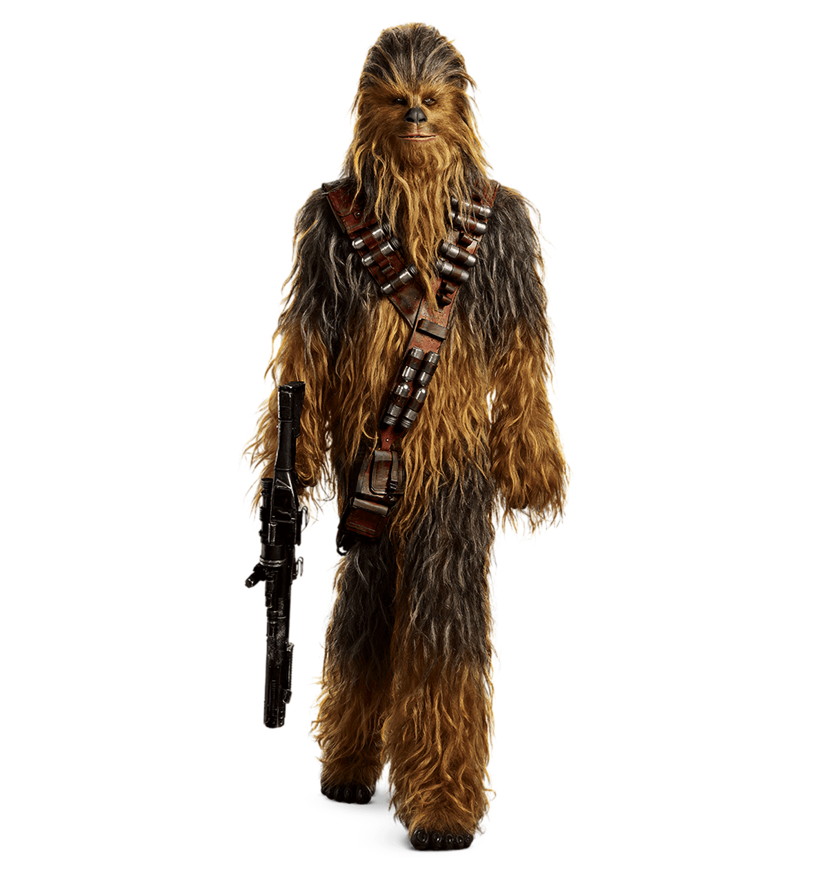 Detail Chewbacca Transparent Nomer 9