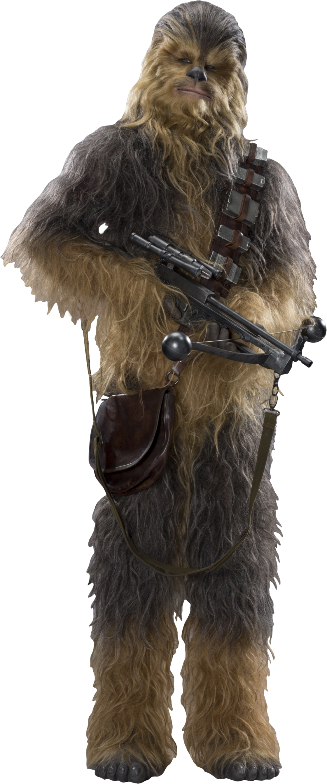 Detail Chewbacca Transparent Background Nomer 13
