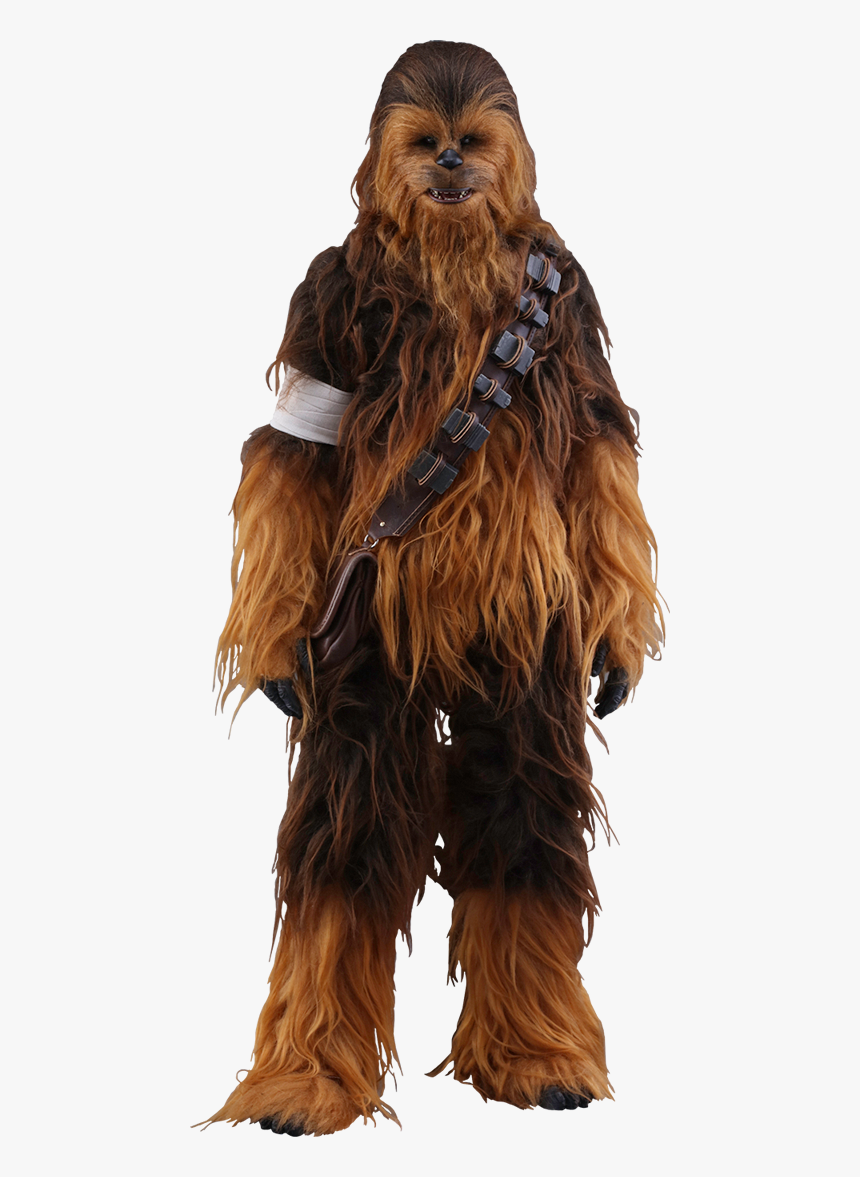 Detail Chewbacca Transparent Background Nomer 17