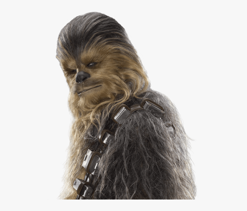 Detail Chewbacca Transparent Background Nomer 18