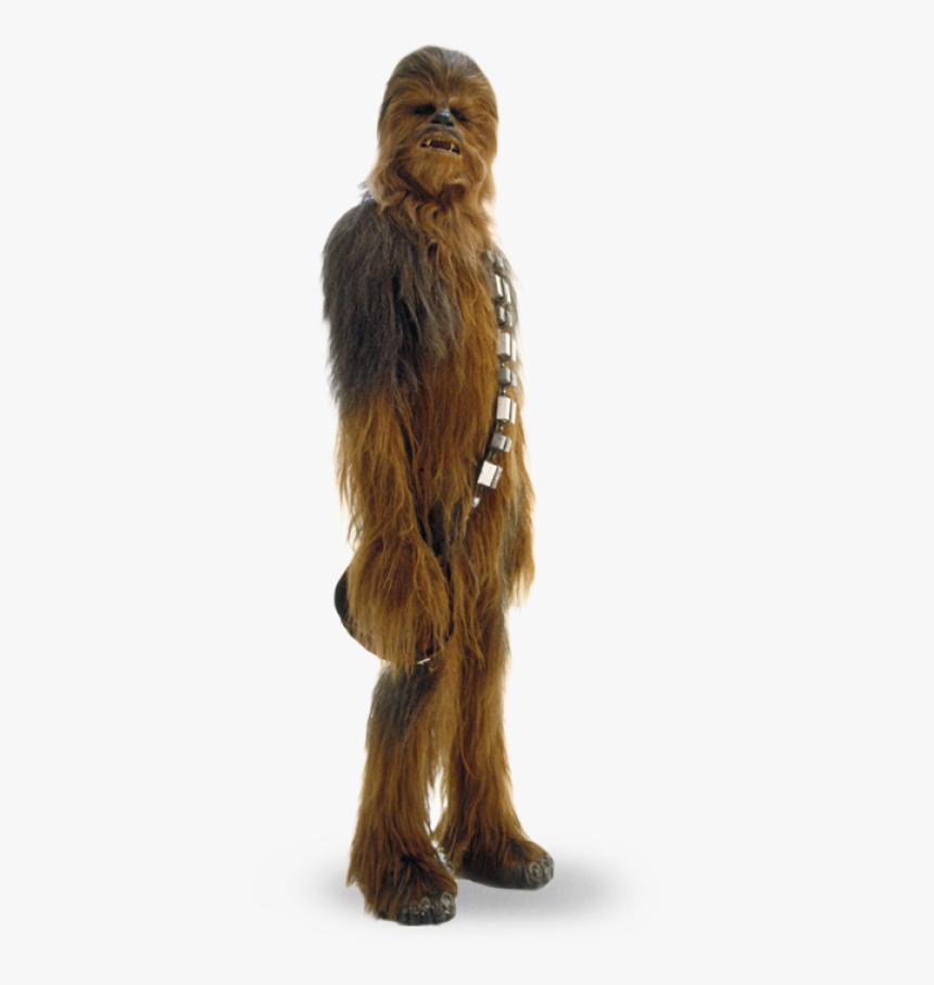 Detail Chewbacca Transparent Background Nomer 22