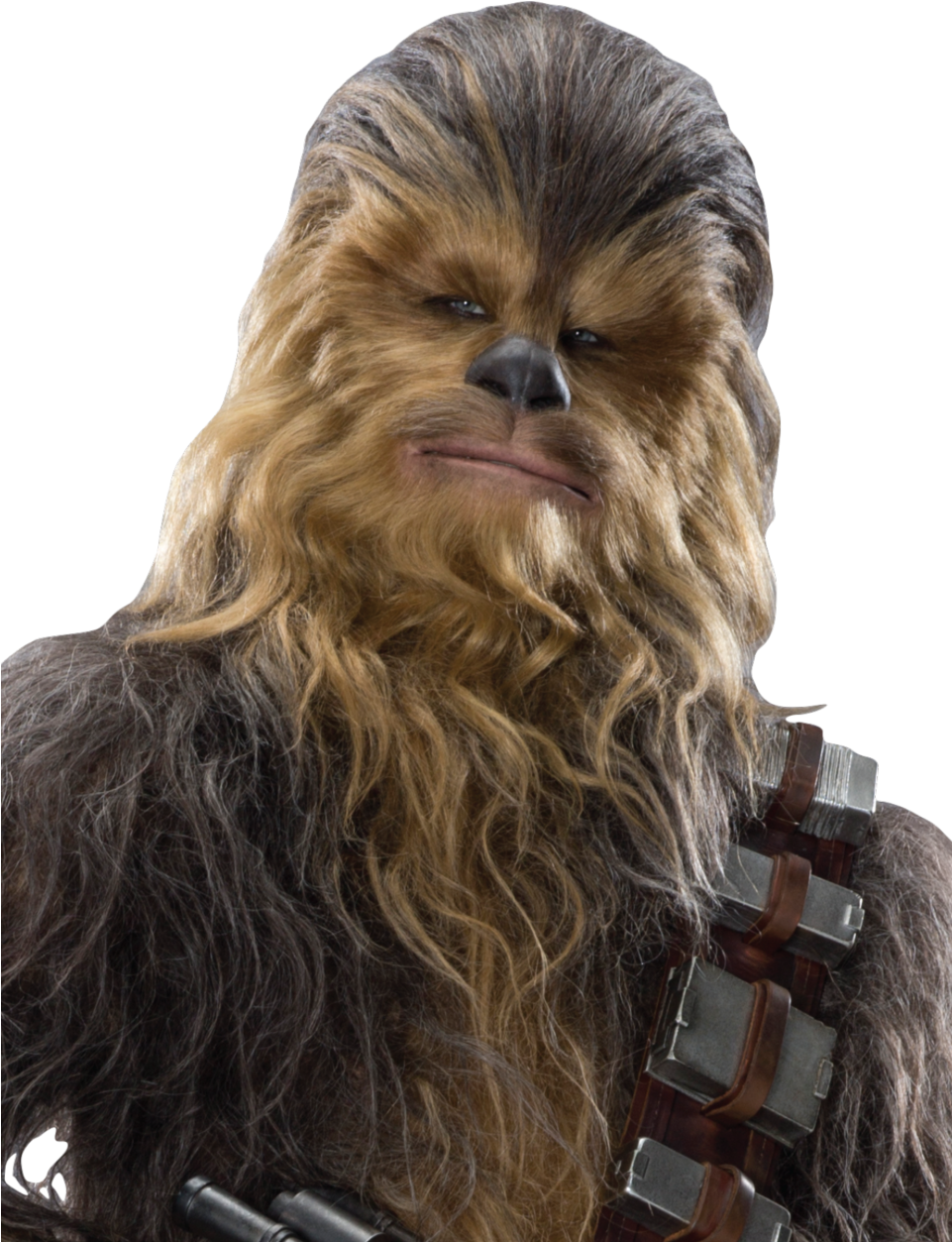 Detail Chewbacca Transparent Background Nomer 23