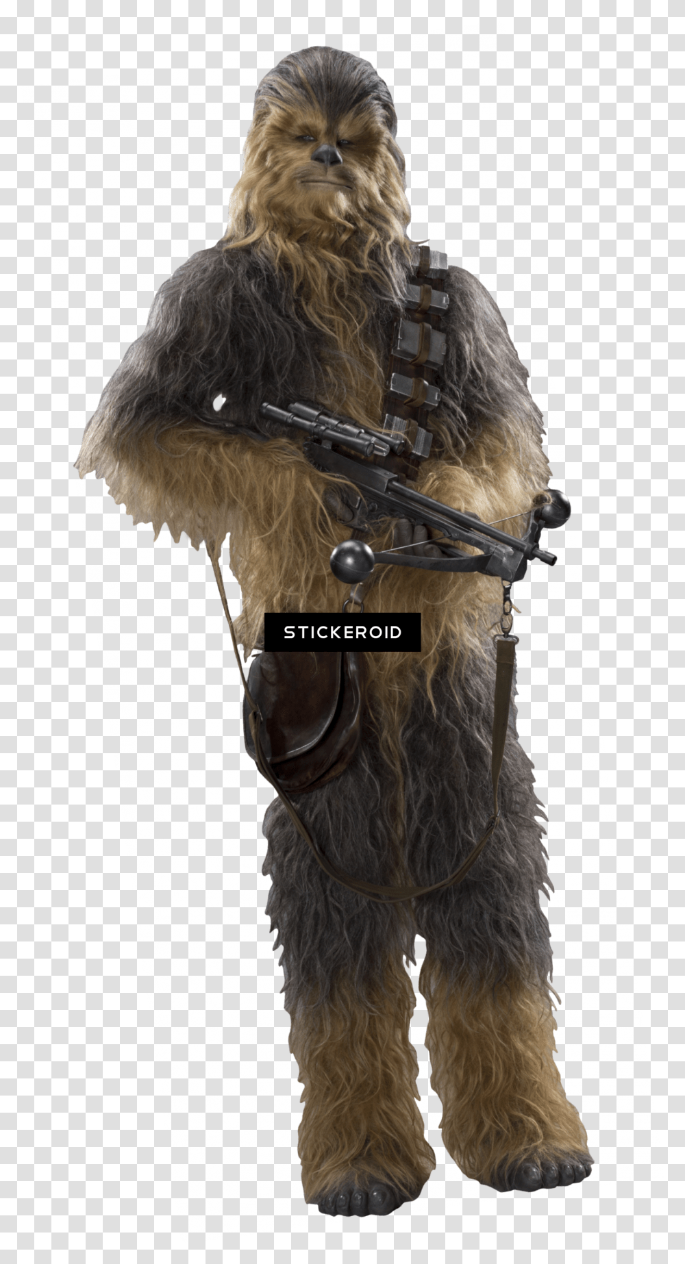 Detail Chewbacca Transparent Background Nomer 24