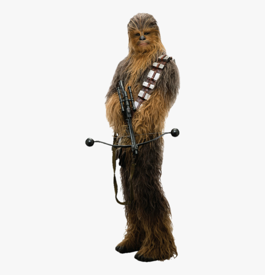 Detail Chewbacca Transparent Background Nomer 4