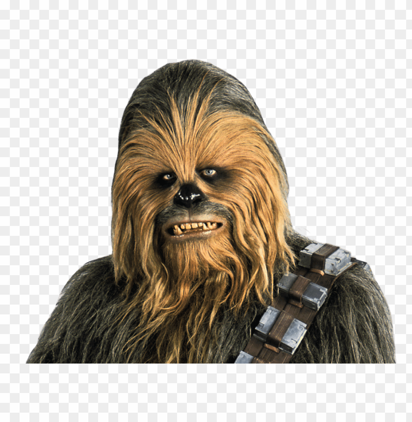 Detail Chewbacca Transparent Background Nomer 6