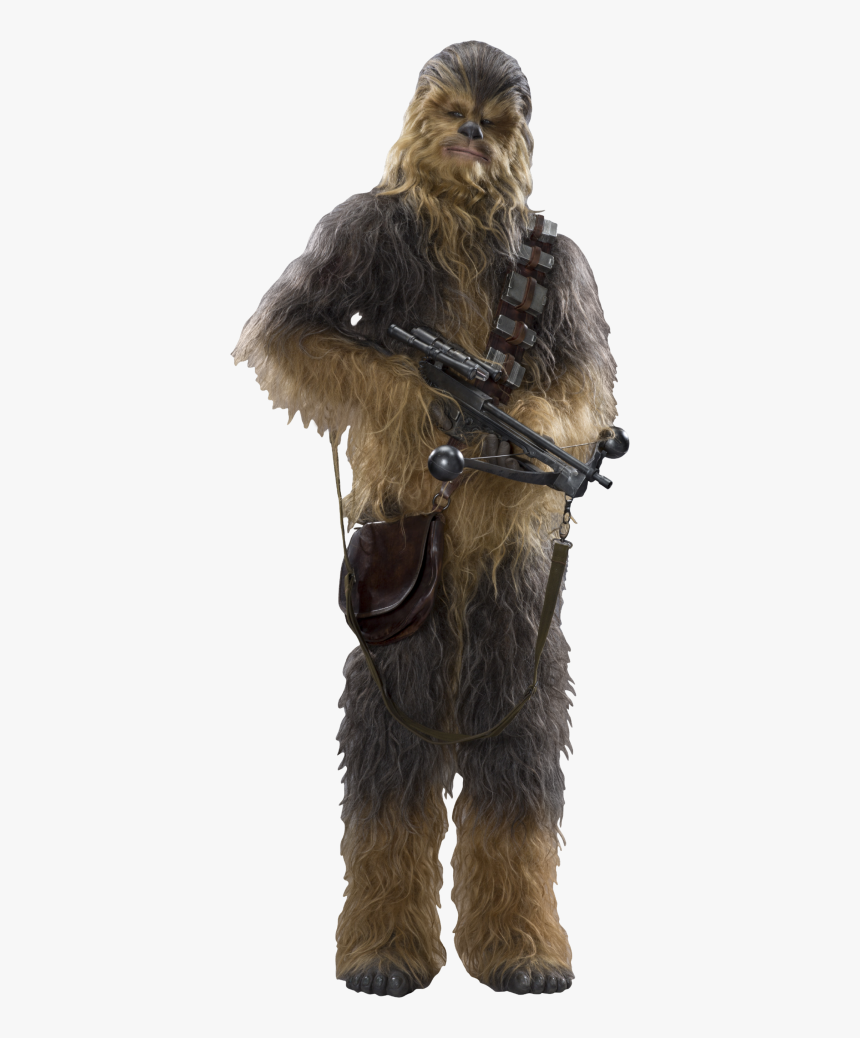 Detail Chewbacca Transparent Background Nomer 7