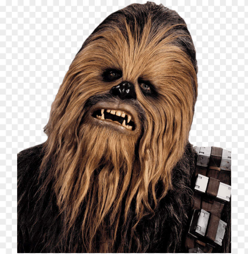 Detail Chewbacca Transparent Background Nomer 9