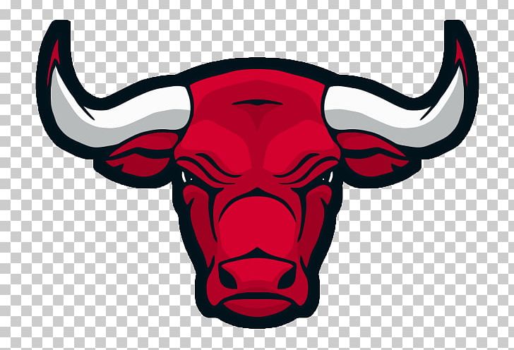 Detail Chicago Bulls Logo Png Nomer 16