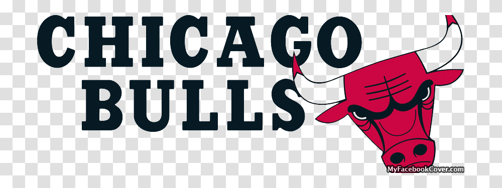 Detail Chicago Bulls Logo Png Nomer 33