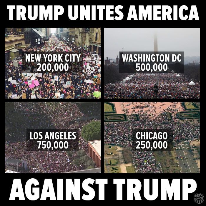 Detail Chicago Trump Meme Nomer 31