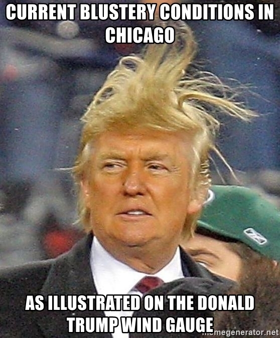 Detail Chicago Trump Meme Nomer 9