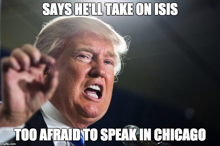 Detail Chicago Trump Meme Nomer 10