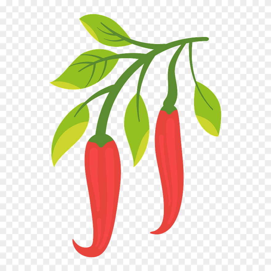 Detail Chile Pepper Clip Art Nomer 30