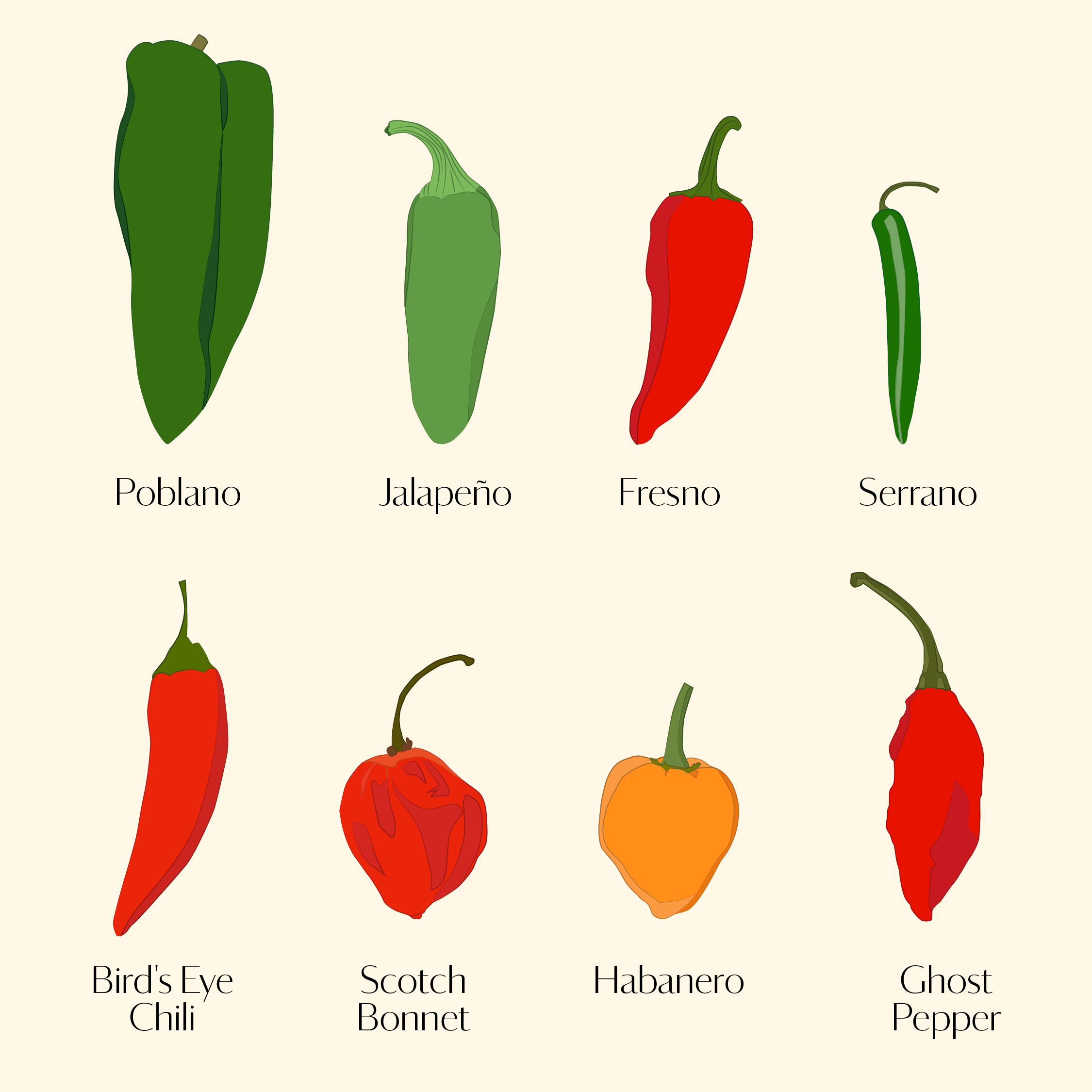 Chile Pepper Images - KibrisPDR