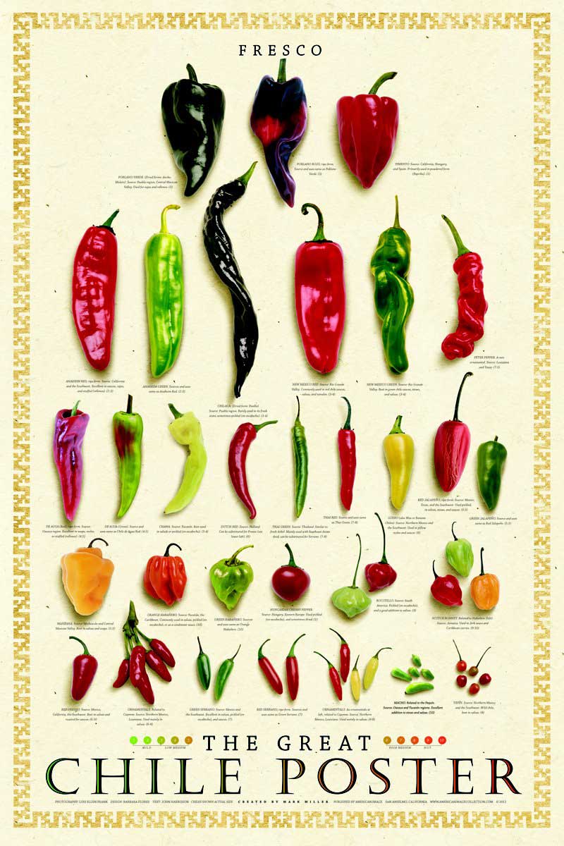 Detail Chile Pepper Images Nomer 29