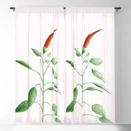 Detail Chili Pepper Curtains Nomer 12