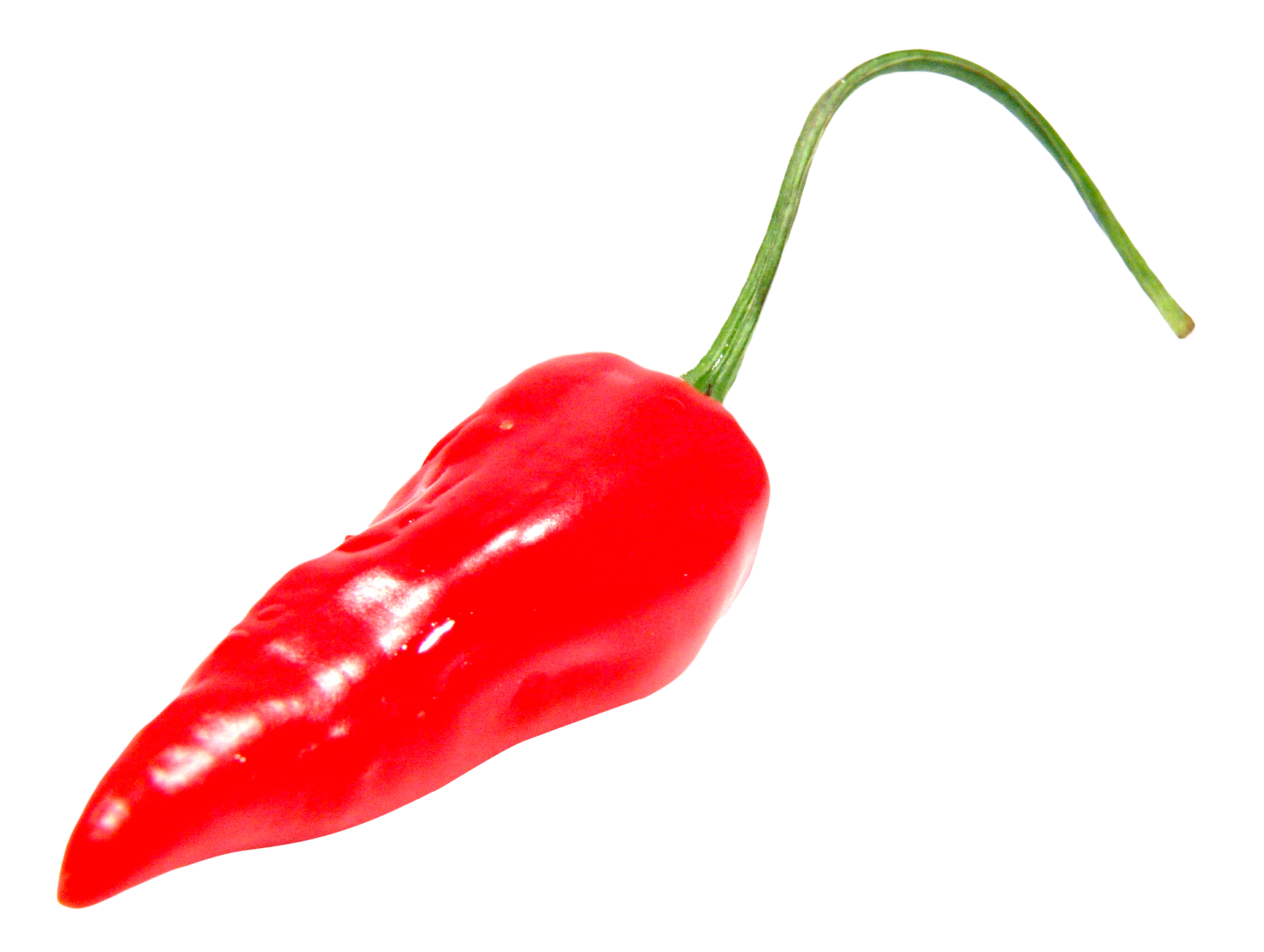 Detail Chili Pepper Png Nomer 19