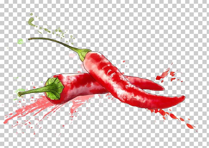 Detail Chili Pepper Png Nomer 46