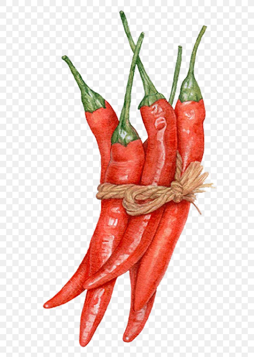 Detail Chili Pepper Png Nomer 48