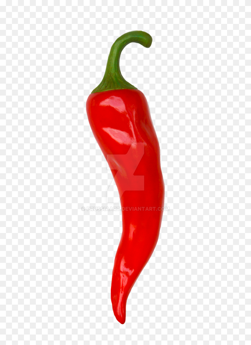 Detail Chili Pepper Transparent Background Nomer 24