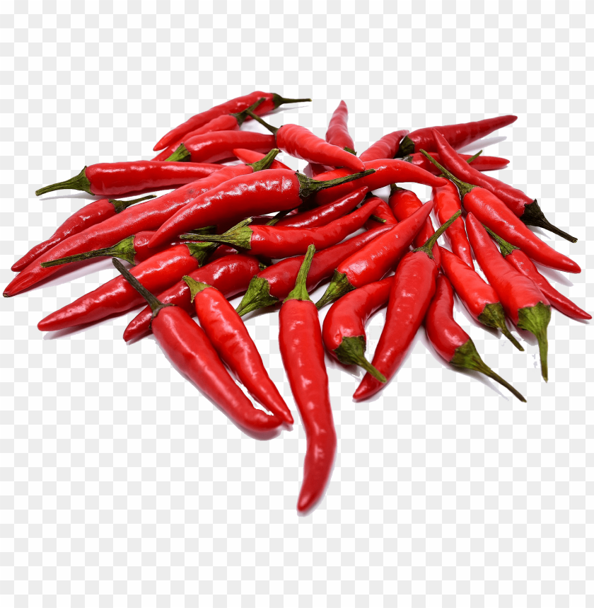 Detail Chili Pepper Transparent Background Nomer 39