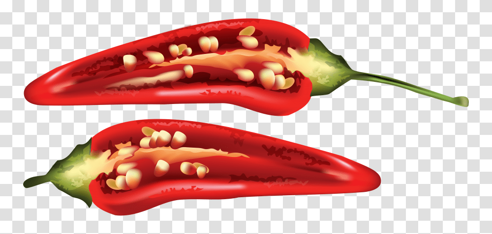 Detail Chili Pepper Transparent Background Nomer 51