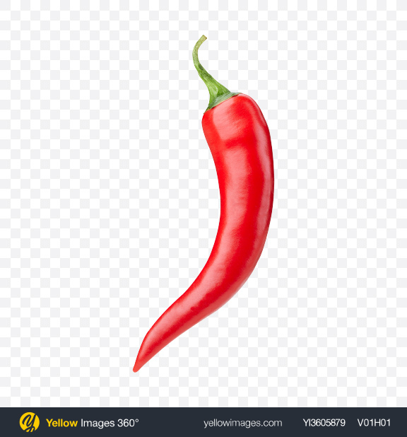 Detail Chili Pepper Transparent Background Nomer 52