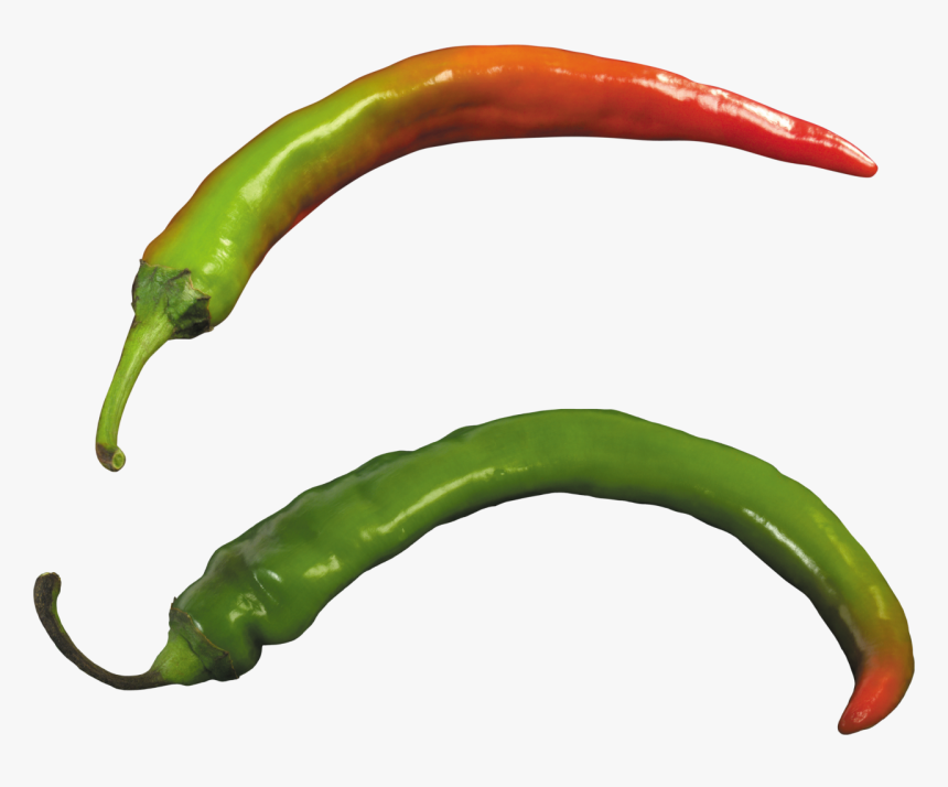 Detail Chili Pepper Transparent Background Nomer 55