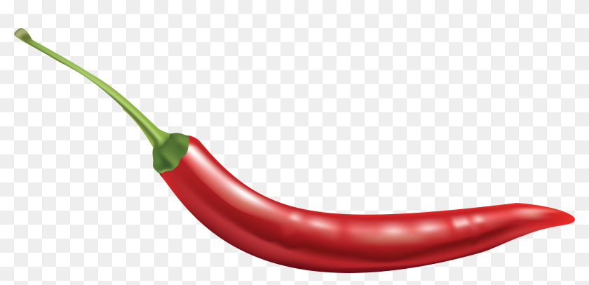 Detail Chili Pepper Transparent Background Nomer 7