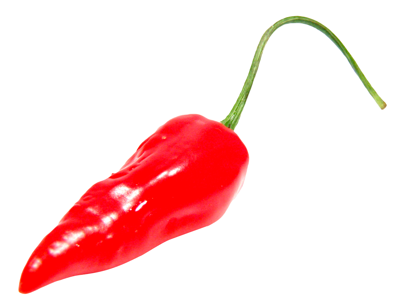 Detail Chili Peppers Png Nomer 28