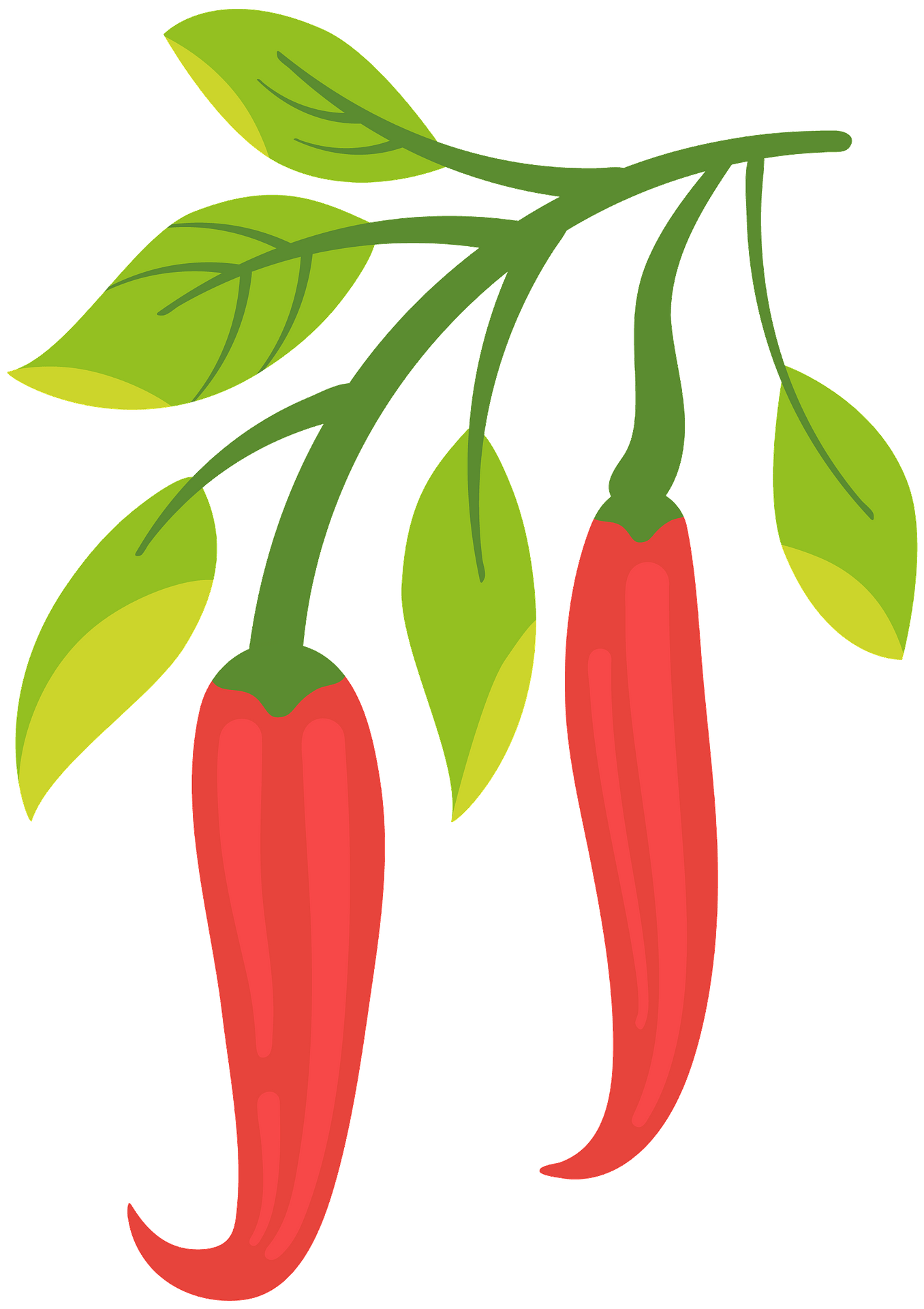 Detail Chilli Clipart Nomer 29