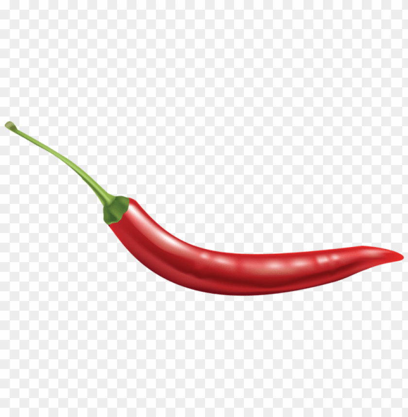 Detail Chilli Png Nomer 4