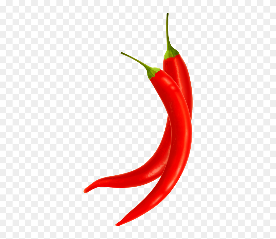 Detail Chilli Png Nomer 5
