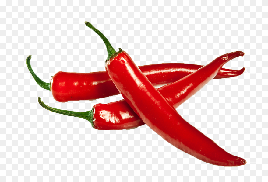 Detail Chilli Png Nomer 10