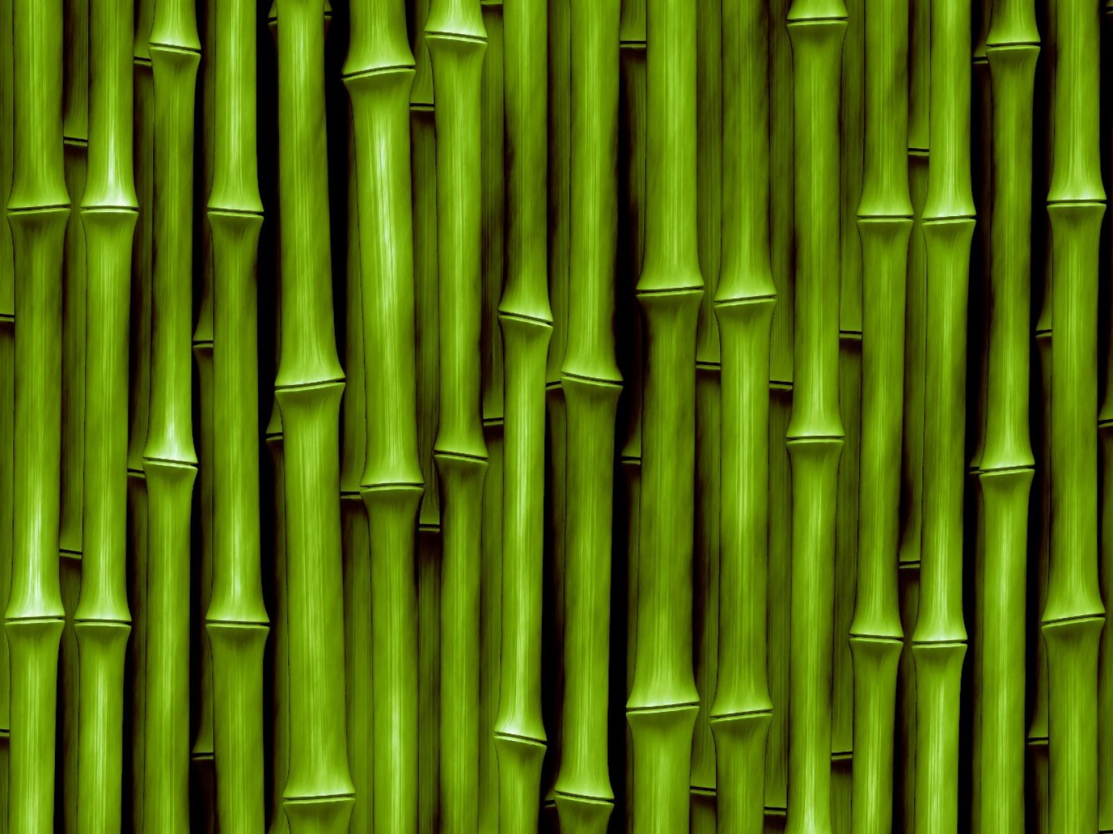 Chinese Bamboo Wallpaper - KibrisPDR