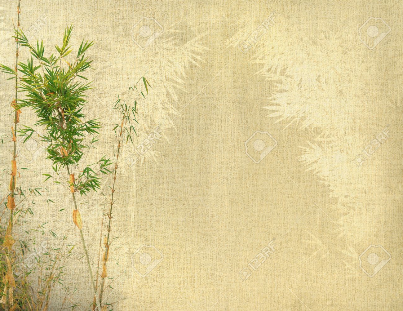 Detail Chinese Bamboo Wallpaper Nomer 28