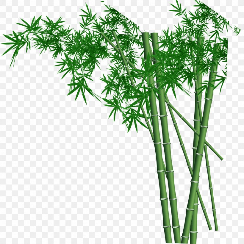 Download Chinese Bamboo Wallpaper Nomer 48