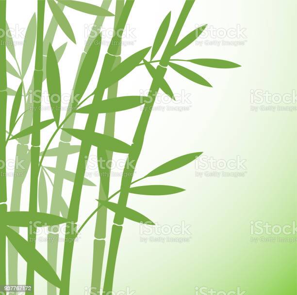 Detail Chinese Bamboo Wallpaper Nomer 51