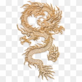 Detail Chinese Gold Dragon Png Nomer 32