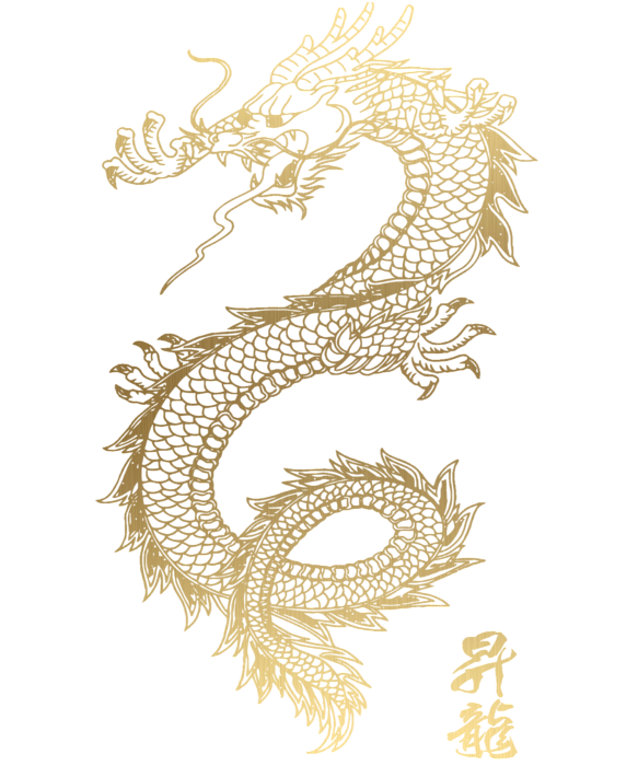 Detail Chinese Gold Dragon Png Nomer 58