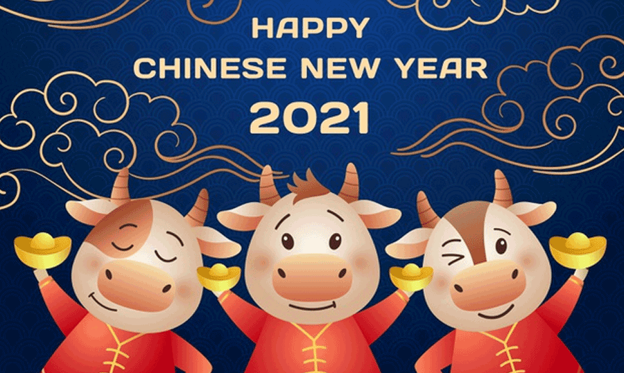 Detail Chinese New Year 2021 Png Nomer 49