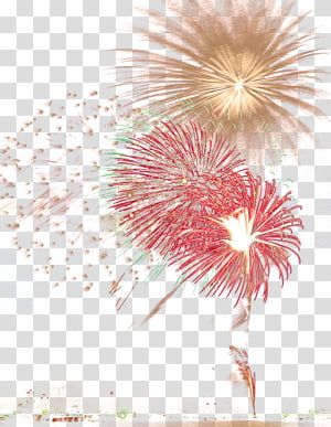 Detail Chinese New Year Fireworks Clipart Nomer 38