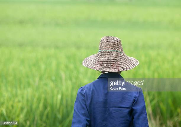 Detail Chinese Rice Farmer Hat Nomer 55