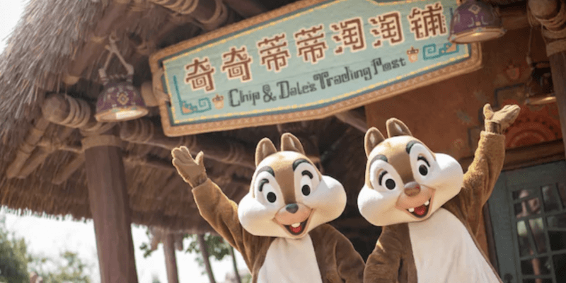 Detail Chip And Dale Nomer 41