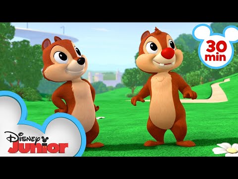 Detail Chip And Dale Cartoon Characters Nomer 23