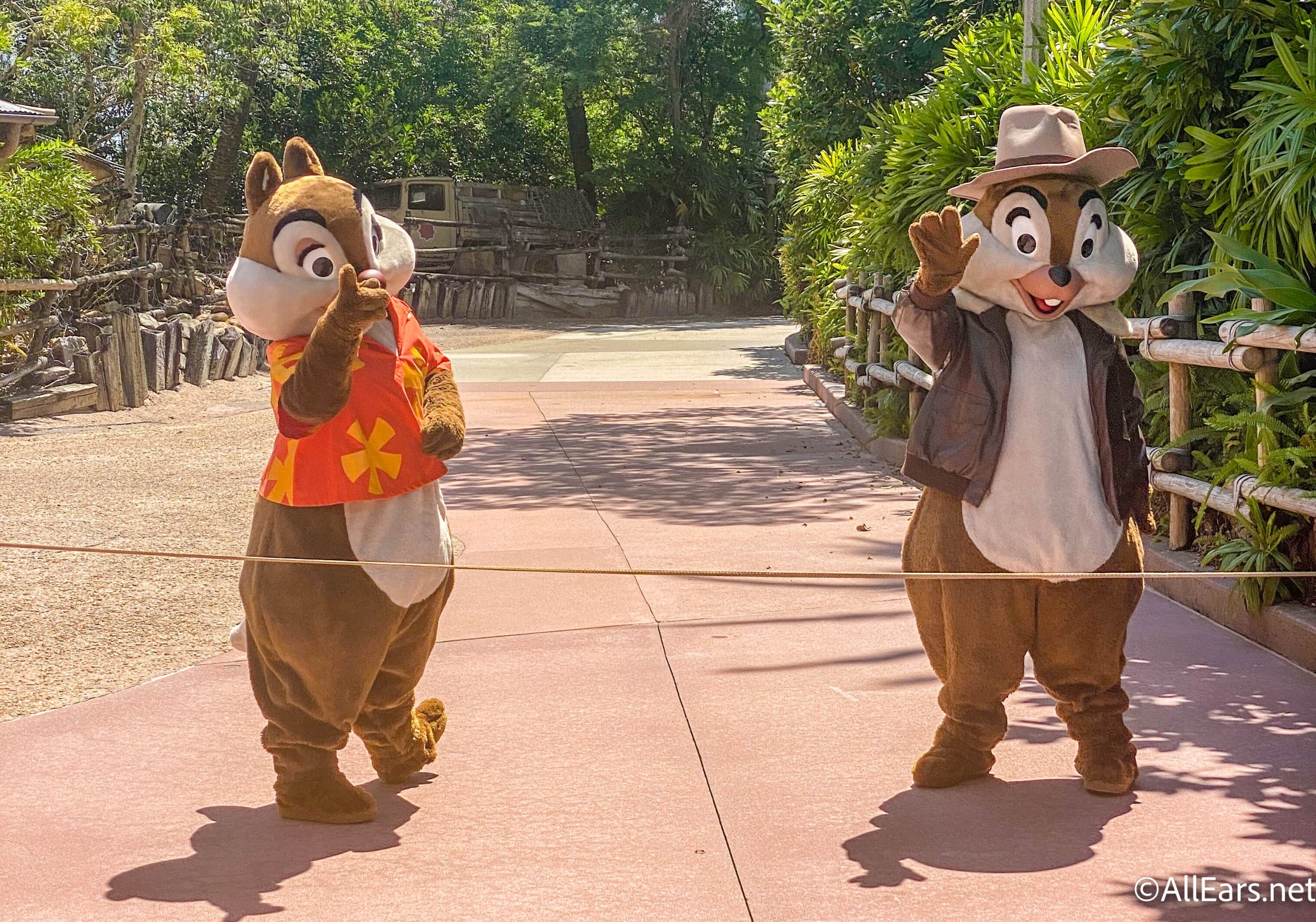 Detail Chip And Dale Indiana Jones Nomer 50